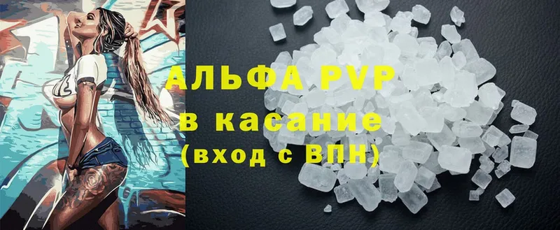 A PVP СК КРИС  Рязань 