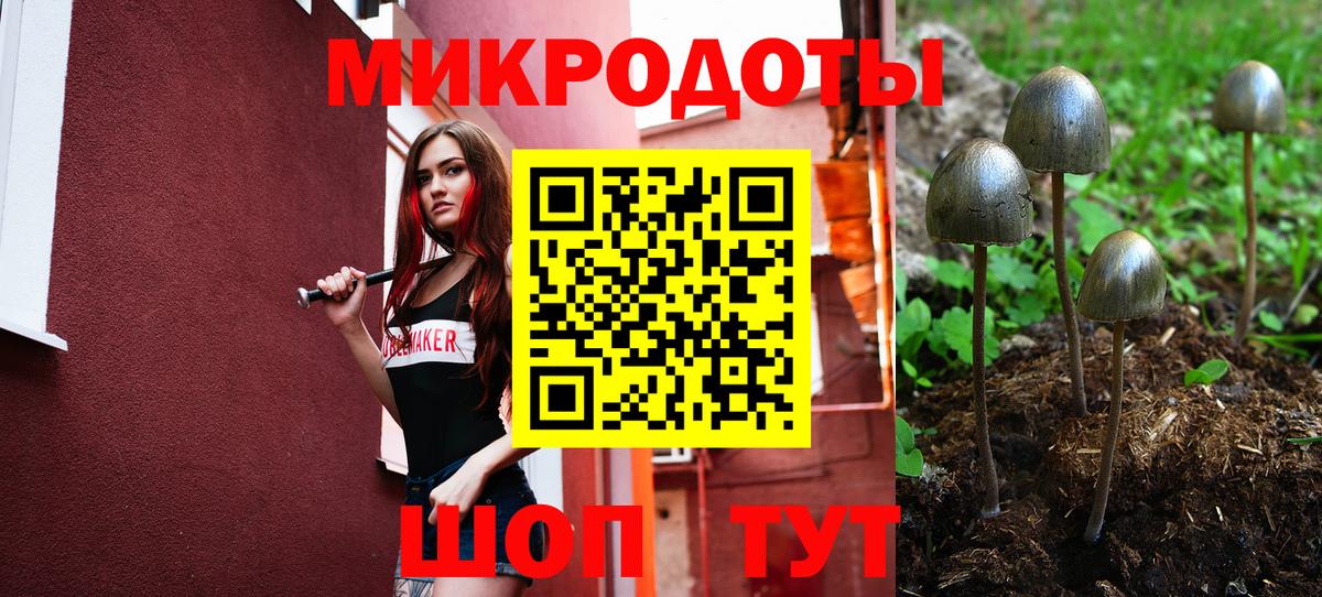 Псилоцибиновые грибы Psilocybine cubensis  Галлюциногенные грибы мухоморы  Рязань  Вход с VPN 
