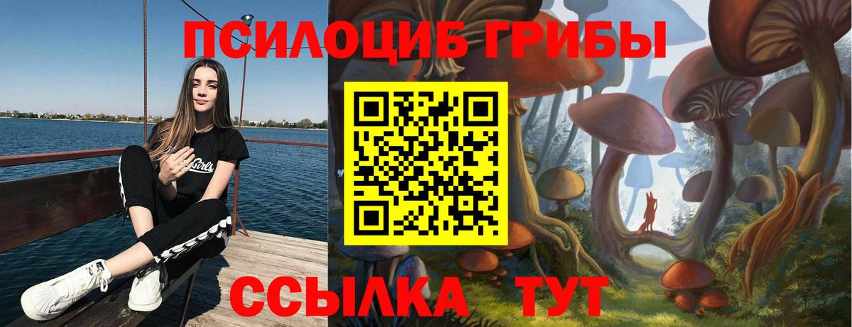 Псилоцибиновые грибы мицелий  Рязань 