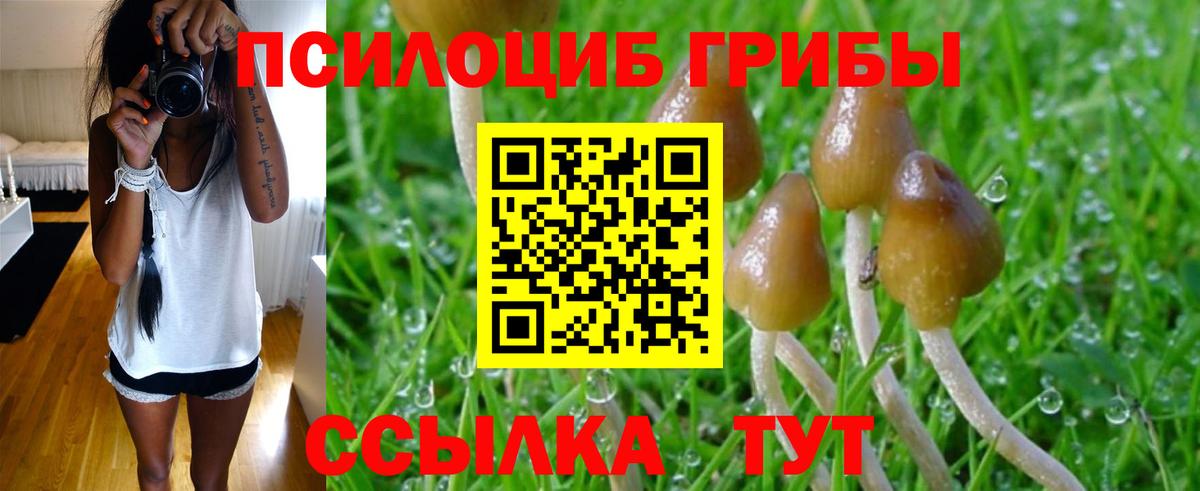 Псилоцибиновые грибы Magic Shrooms Рязань